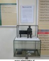 Miniaturka pomnika dr Psarskiego i skarbonka z pieniędzmi w szpitalu