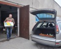 Świąteczna Zbiórka Żywności 2011: Tysiąc rodzin z Ostrołęki i okolic otrzyma świąteczną paczkę [ZDJĘCIA] 