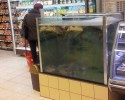W MarcPolu sprzedają śnięte ryby! [ZDJĘCIA] 