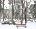 &#8222;Wiosenny atak&#8221; zimy połamał drzewa w parku miejskim [ZDJĘCIA]
