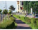 Sportowa Ostrołęka: Obwodnica - najpopularniejsze miejsce do joggingu