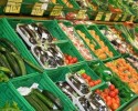 Eksport owoców i warzyw wciąż słaby. Dystrybutorzy apelują o większe wsparcie we wchodzeniu na nowe rynki