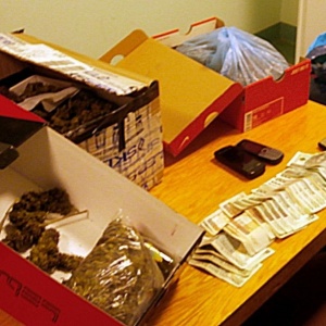 Makowscy policjanci zabezpieczyli prawie 9 kg marihuany [ZDJĘCIA]