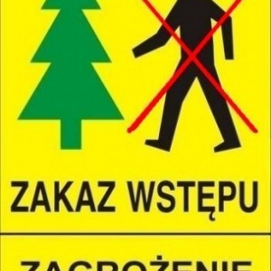 Zakaz wstępu do lasów w Nadleśnictwie Ostrołęka odwołany