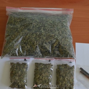 34-latek, listy gończe i pół kilograma narkotyków