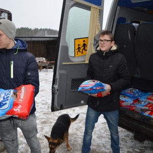 Łyse: Uczniowie zebrali ponad pół tony karmy i akcesoriów dla bezdomnych zwierząt [ZDJĘCIA]