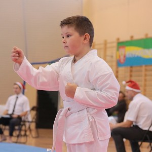Mikołajkowy Turniej Karate Kyokushin (zdjęcia)