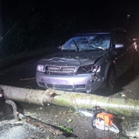 Drzewo runęło na jadące auto. Kierowca próbował hamować, ale było już za późno!