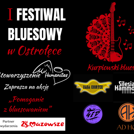 I Festiwal Bluesowy w Ostrołęce