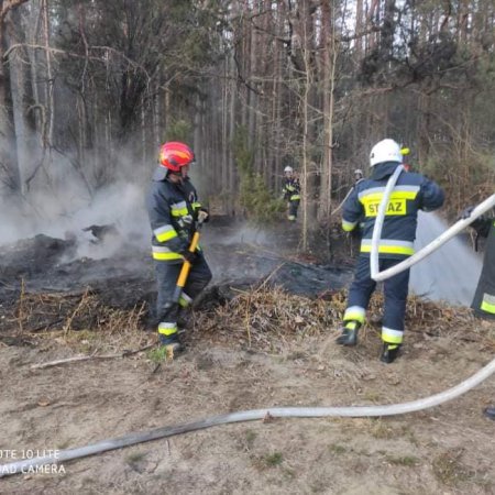 Pożar w Olszewce. Interweniowało kilka jednostek strażackich [ZDJĘCIA]