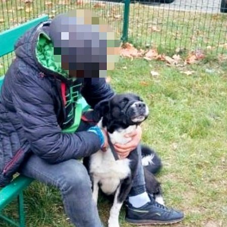 26-latek poszczuł psem przechodnia i ukradł mu plecak [FOTO]