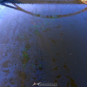 Kolejne dane o stanie wody w Narwi po wycieku oleju: "Nie wykazuje pogorszenia"