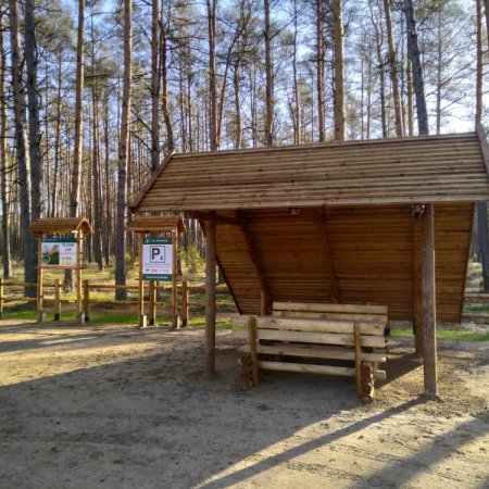 Nowe miejsce postoju dla odwiedzających lasy Nadleśnictwa Ostrołęka [ZDJĘCIA]
