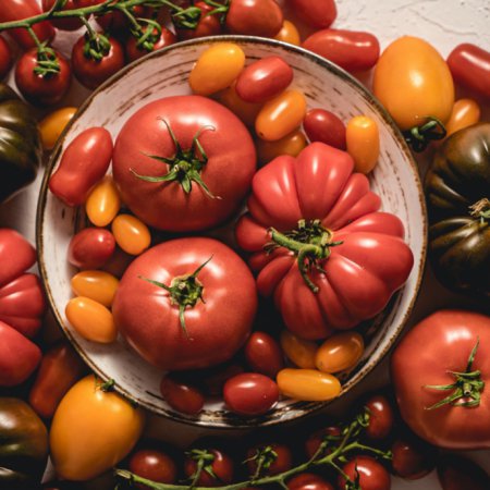 Sadzonki pomidorów - jak sadzić pomidory z rozsad?