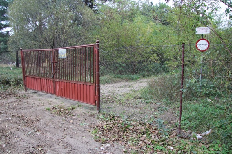Zdjęcie główne