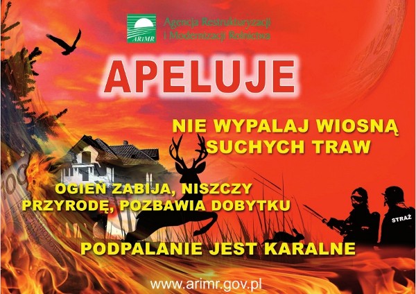 Zdjęcie główne