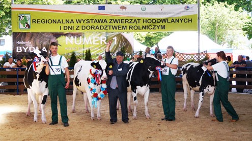 Zdjęcie główne