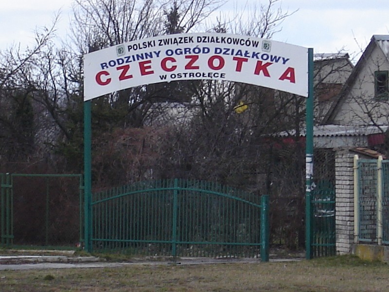 Zdjęcie główne