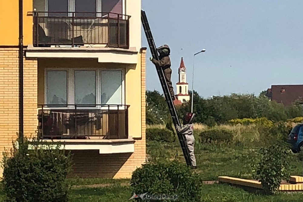 Zdjęcie główne
