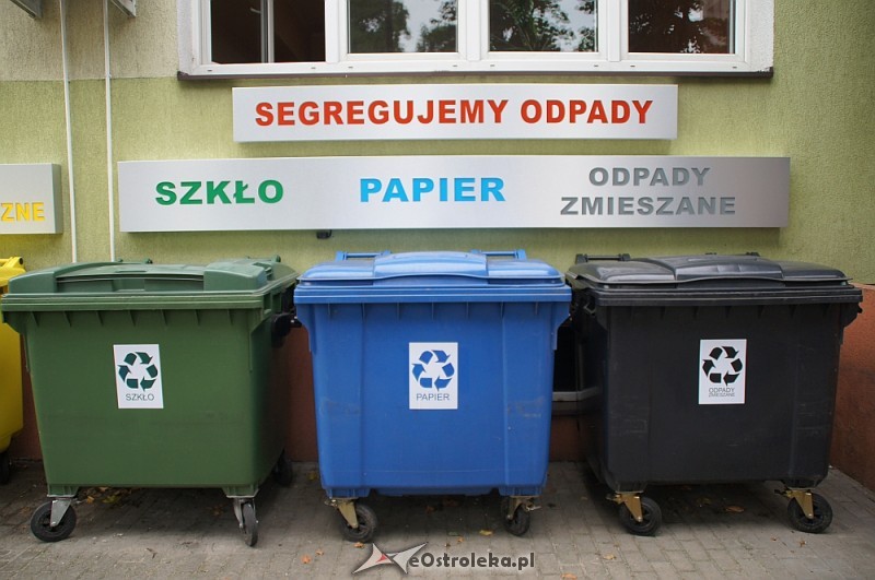 Zdjęcie główne