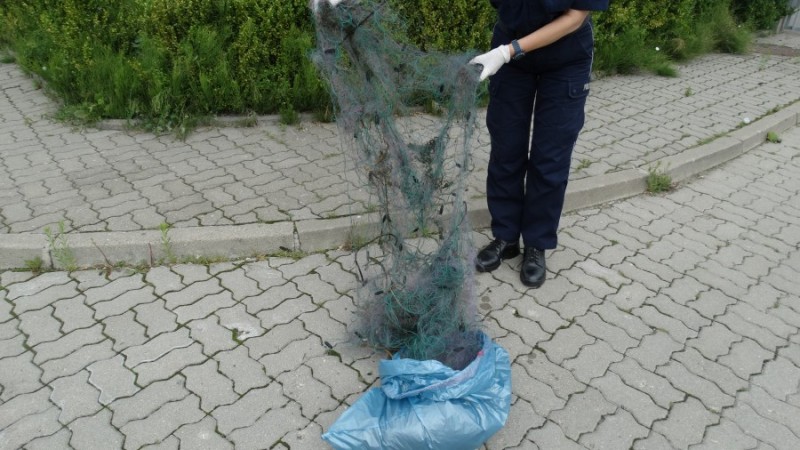 Zdjęcie główne