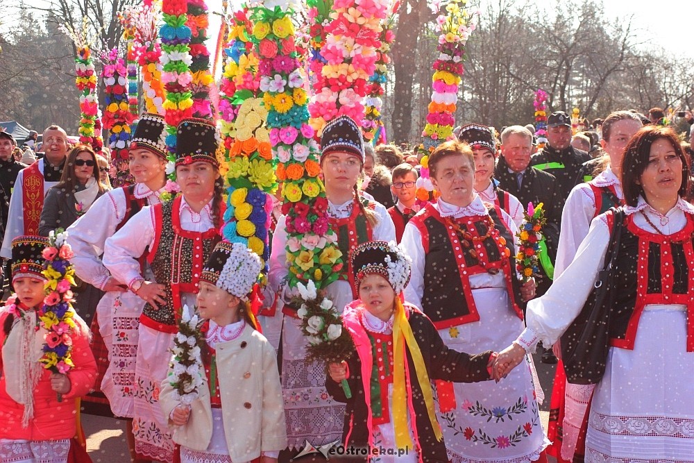 Zdjęcie główne
