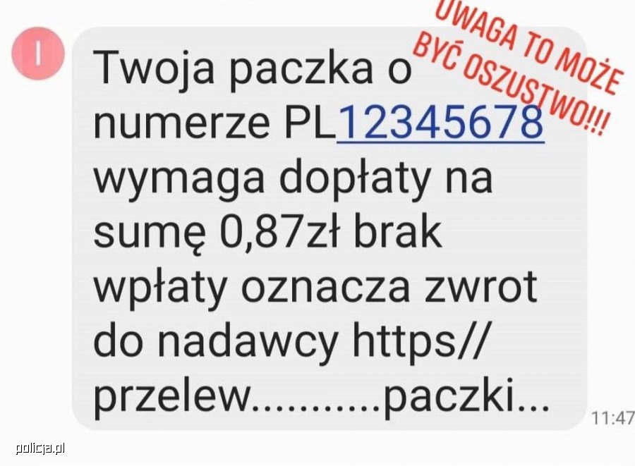 Zdjęcie główne