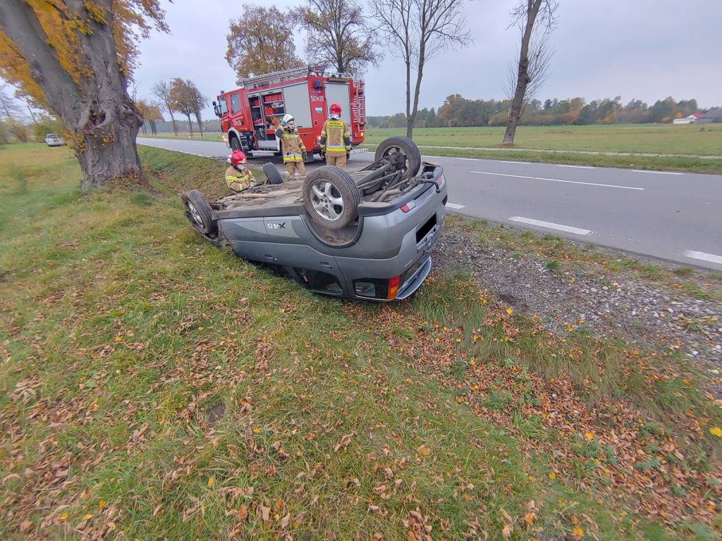 Zdjęcie główne