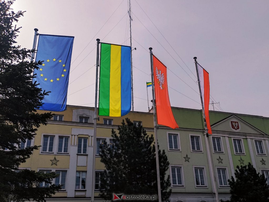 Zdjęcie główne
