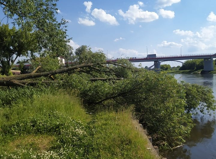 fot. Czytelnik