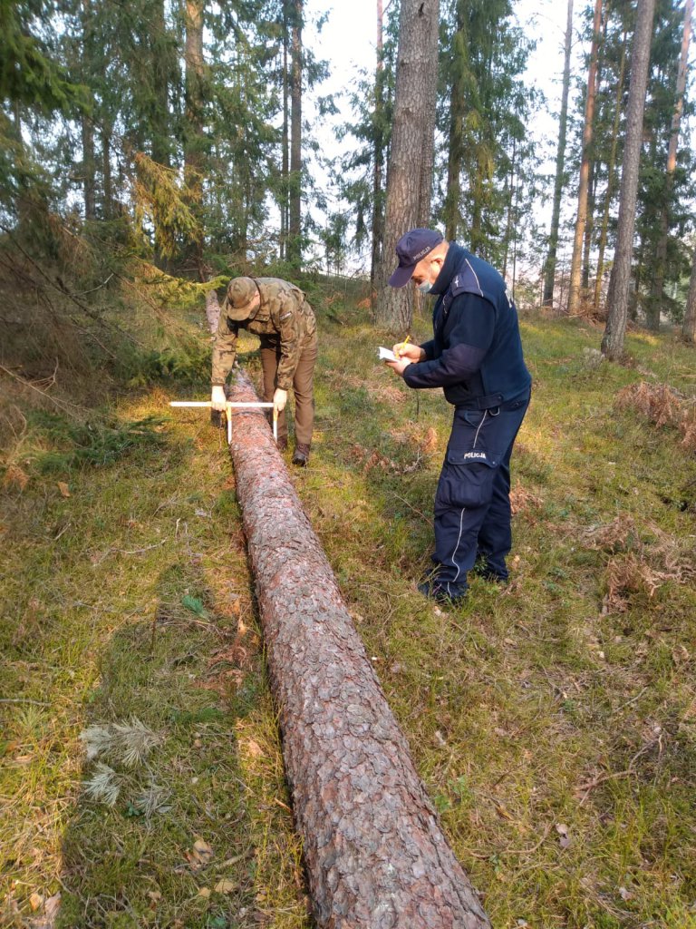 Zdjęcie główne
