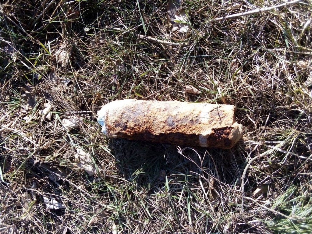 Zdjęcie główne