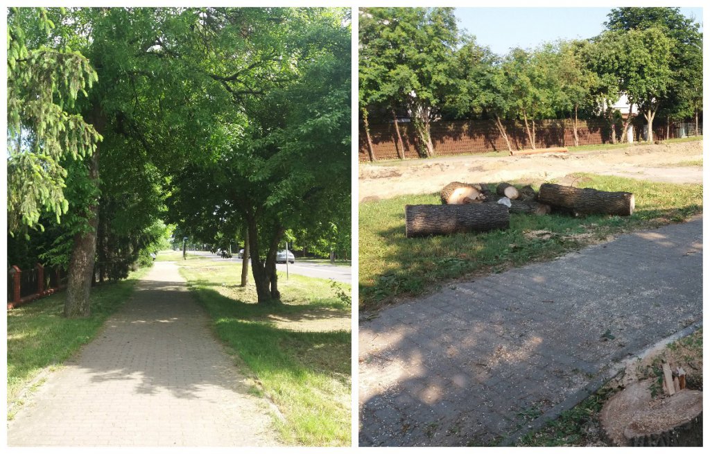 fot. czytelnik Łukasz