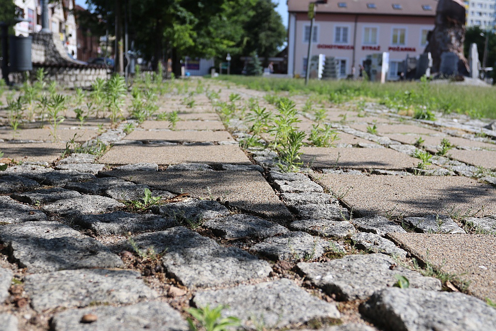 Zdjęcie główne