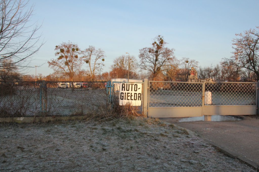 Zdjęcie główne