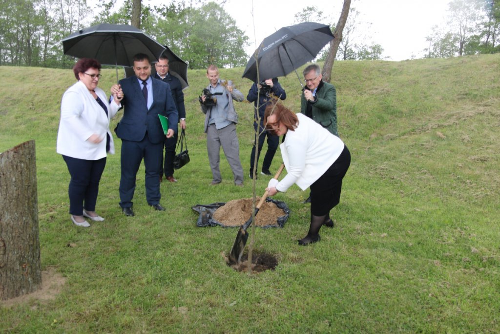 fot. eOstroleka.pl