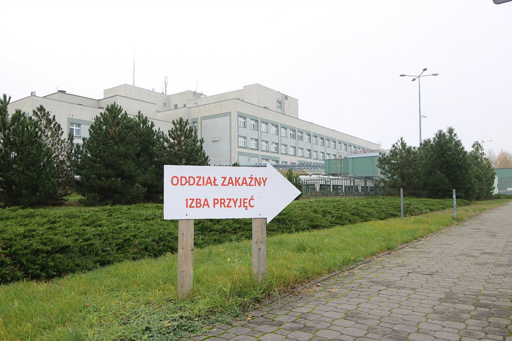 Zdjęcie główne