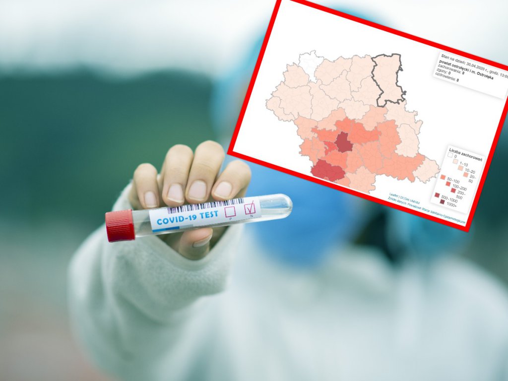 Zdjęcie główne