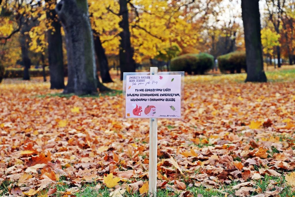 fot. Urząd Miasta Ostrołęki
