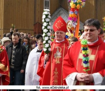 Tysiące kolorowych palm...