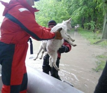65 strażaków z Ostrołęki i okolic ruszyło na pomoc powodzianom (ZDJĘCIA)