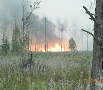 Uhonorowani za bohaterstwo. Ostrołęccy strażacy walczyli z ogniem w Rosji i z powodzią w Polsce (ZOBACZ NIEPUBLIKOWANE DOTĄD ZDJĘCIA, WIDEO) 
