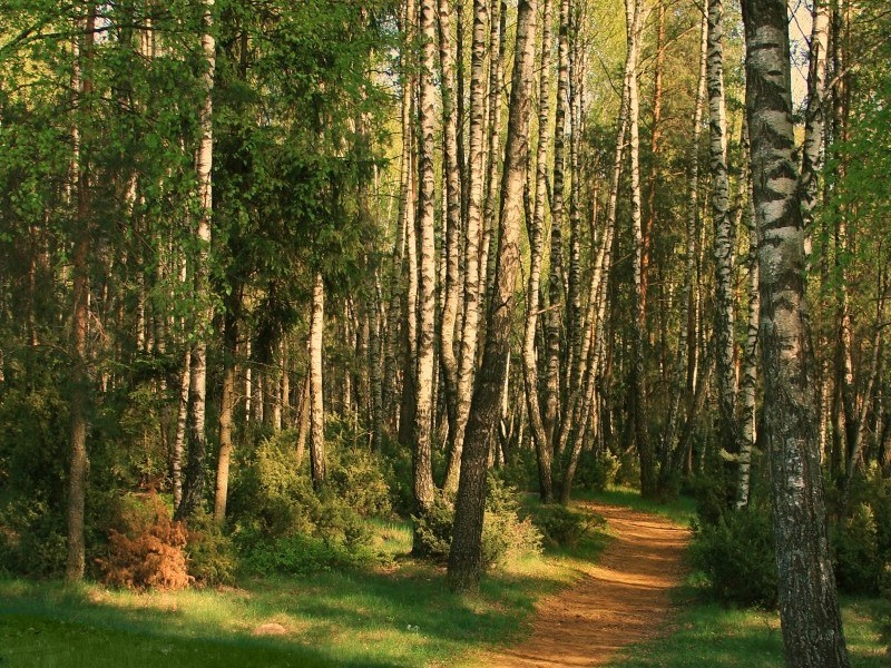 las Ostrołęka