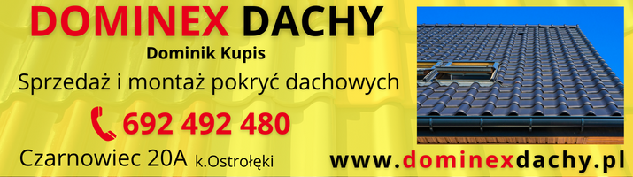 zdjecie 3311