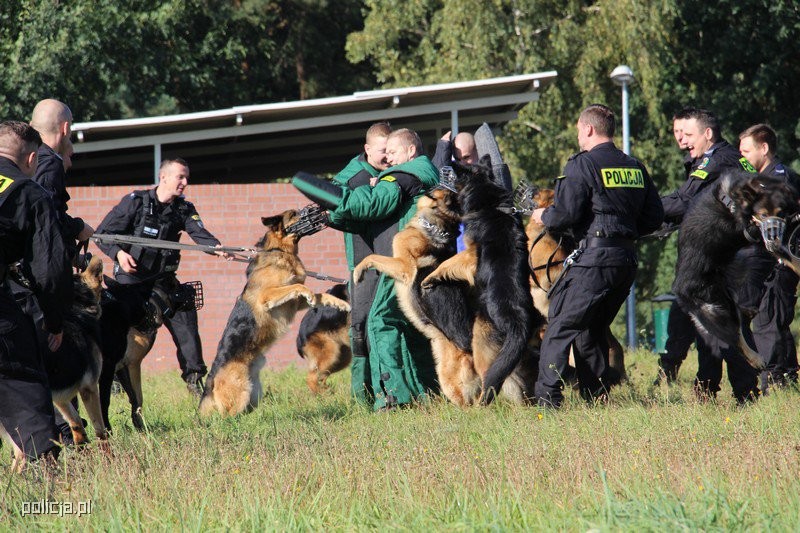 fot. policja.pl