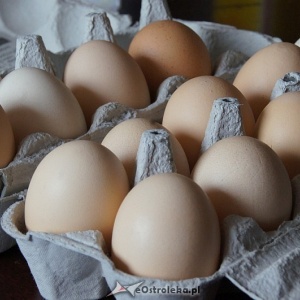 Coraz więcej polskich jaj trafia na Bliski Wschód i do Afryki