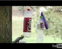 "Czy chcesz mieć taki las?" - akcja ekologiczna uczów SP w Łęgu Przedmiejskim (wideo)