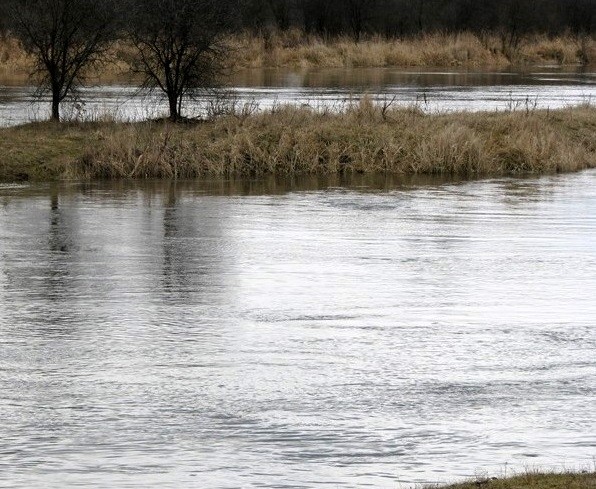 Narew (fot. podlaska.policja.gov.pl)