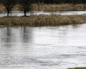 Wędkarz utonął w Narwi. Nagle wypadł z łódki i już nie wypłynął 