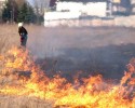 Dwa pożary poszycia leśnego w Białobrzegu Dalszym